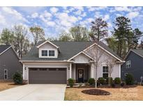 Charming single-Gathering home with a two-car garage and well-manicured landscaping at 938 Moose Trl, Matthews, NC 28104