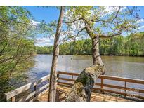 Scenic lake view from a wooden dock with mature trees and a serene waterfront atmosphere at 902 Cornelius Rd, Mooresville, NC 28117