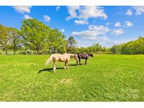 Horses graze in a green pasture under a blue sky with trees on the horizon at 4896 Pageland Hwy, Lancaster, SC 29720