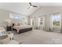 Spacious primary bedroom with vaulted ceilings and large windows for natural light at 10072 Fox Trotter Ln, Midland, NC 28107