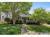 Charming bungalow with lush landscaping, inviting front porch, and a well-maintained walkway leading to the entrance at 3019 Sunset Dr, Charlotte, NC 28209