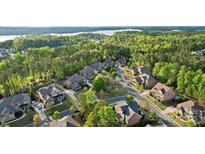 A picturesque view of a neighborhood surrounded by lush greenery and a serene lake in the distance at 16532 Flintrock Falls Ln, Charlotte, NC 28278