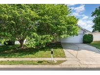 Charming home exterior featuring a lush, mature tree and well-manicured lawn at 228 Grayland Rd, Mooresville, NC 28115