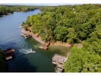 Stunning aerial view of waterfront property featuring lush trees and serene boat docks at 9066 Tulagi Ct, Tega Cay, SC 29708