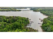 Scenic aerial view of a lake community with docks and boats surrounded by lush green trees at 109 Braxton Gate Ct, Mount Holly, NC 28120