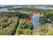Beautiful aerial view of wooded lot on Lake Wylie with arrow pointing towards property at 505 Kemp Rd, Mooresville, NC 28117