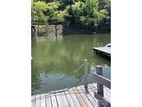 Lakefront property features a private dock with ladder access to the calm, inviting water at 26056 Neptunes Lndg, Fort Mill, SC 29708