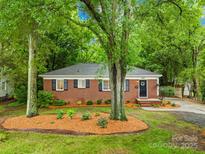 Charming brick home with a well-manicured front yard and mature trees at 4114 Stacy Blvd, Charlotte, NC 28209