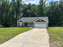 Charming single-story home with a gray exterior, well-manicured lawn, and a concrete driveway leading to an attached garage at 1521 Park Ave, Salisbury, NC 28146
