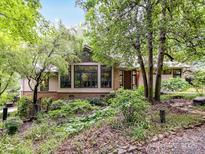 Inviting exterior elevation with lush landscaping, modern windows, and stone accents adding curb appeal at 218 Point Carpenter Rd, Fort Mill, SC 29707