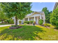 Charming single-story home with a manicured lawn, mature tree, and inviting front porch at 10927 Chrudan Dr, Charlotte, NC 28262