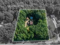 Aerial view of private lot with mature trees, home, and pool with approximate lot lines at 3513 Briarcliff Acres Dr, Lincolnton, NC 28092