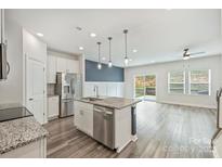 Open-concept kitchen with a large island, stainless steel appliances, and wood-look flooring at 502 Tayberry Ln, Fort Mill, SC 29715