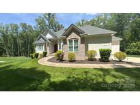 Charming home with manicured lawn, lush landscaping, and a welcoming walkway, all bathed in warm sunlight at 10874 Rise Ln, Fort Mill, SC 29707