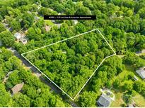 Aerial view of a 2.25 acre lot surrounded by mature trees in a residential area at 7949 Ritter Dr, Charlotte, NC 28270