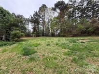 Expansive lawn surrounded by lush, mature trees creates a serene and private outdoor space at 2096 S Point Rd, Belmont, NC 28012