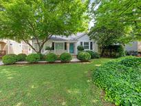 Charming home featuring lush landscaping, healthy green grass, manicured bushes, and a cozy, inviting facade at 3339 Benard Ave, Charlotte, NC 28206