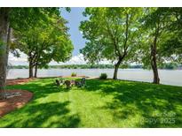 Backyard on the water featuring a firepit and chairs on the lawn, under the shade of mature trees at 4681 Dove Point Ln, York, SC 29745
