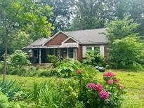 Charming brick home with covered porch, surrounded by lush landscaping and blooming hydrangeas at 1419 Richland Dr, Charlotte, NC 28205