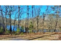 Scenic lake view surrounded by trees, offering a tranquil and picturesque setting at 1614 Medlin Rd, Monroe, NC 28112