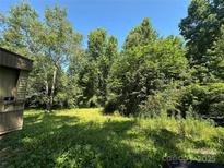 Scenic land with lush greenery and trees. Perfect for building your dream home with privacy at 208/210 Damascus Rd, Gastonia, NC 28056