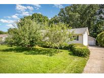 Charming ranch-style home with a lush, green lawn and mature trees in a desirable neighborhood at 3427 Wonderland Dr, Matthews, NC 28104