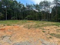 Cleared homesite surrounded by mature trees offers privacy and space for a new home at 1524 Conestoga Xing, Catawba, NC 28609