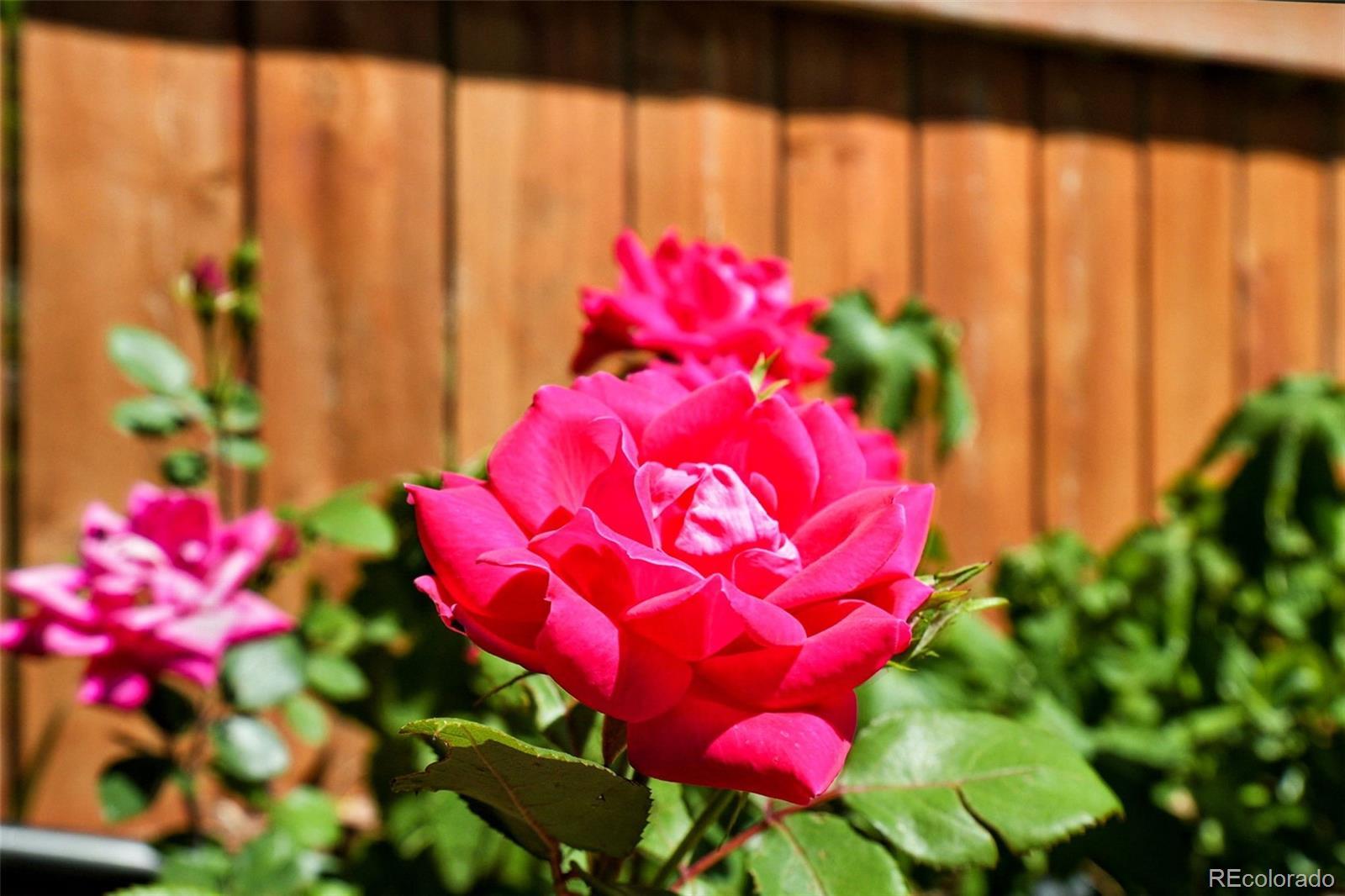 Photo #40