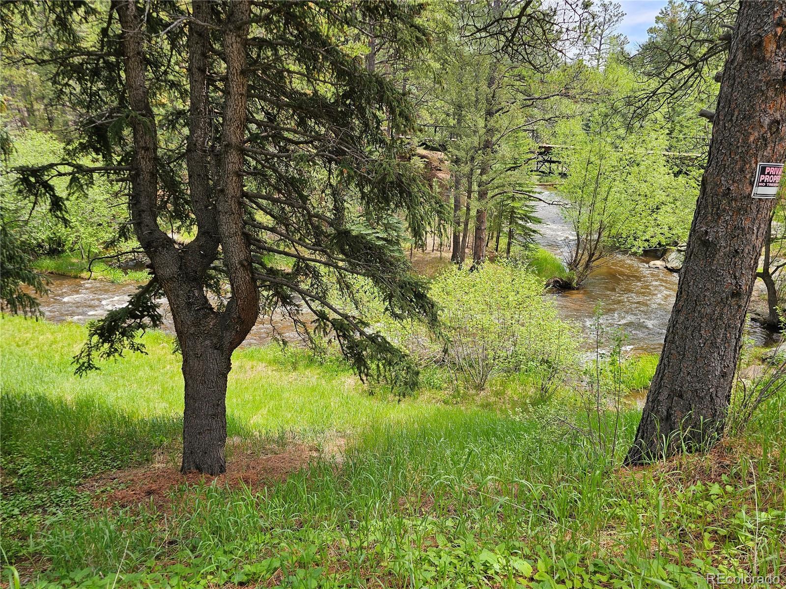 Photo #15