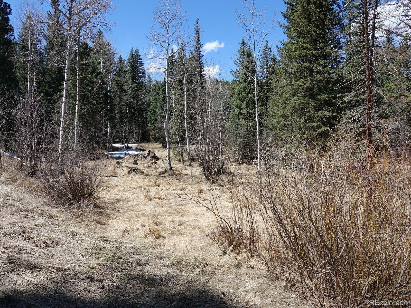 Photo #44