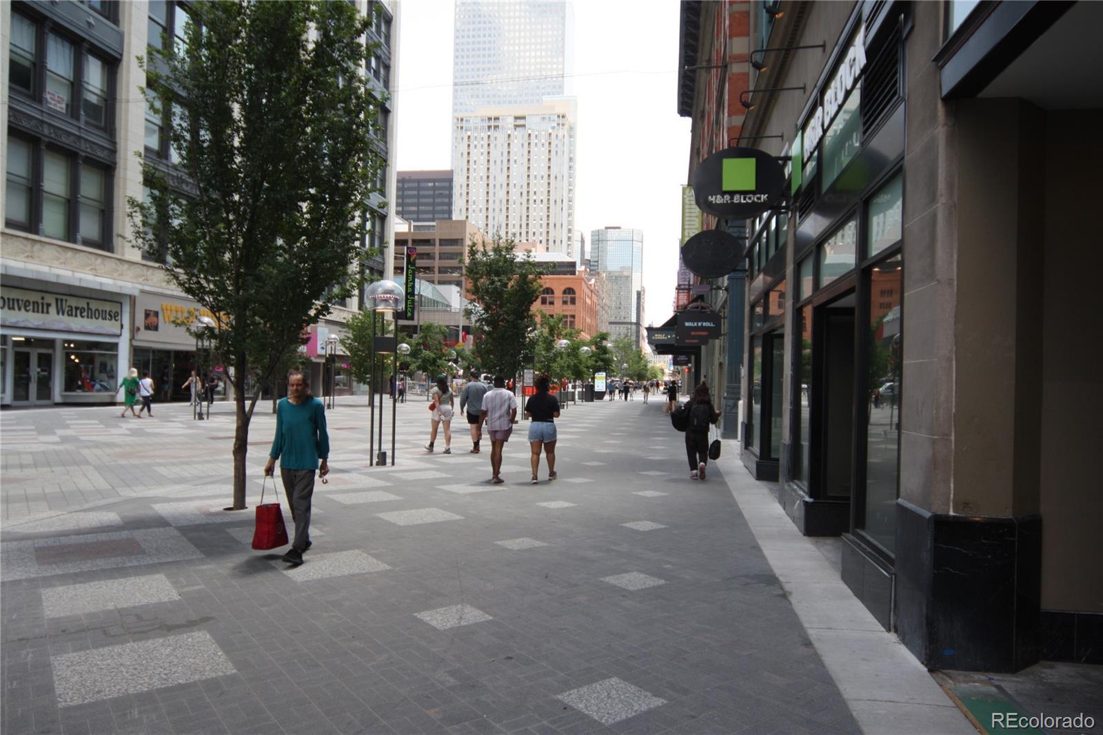 Photo #14