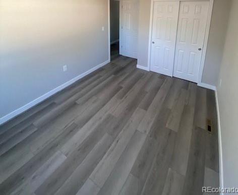Photo #12