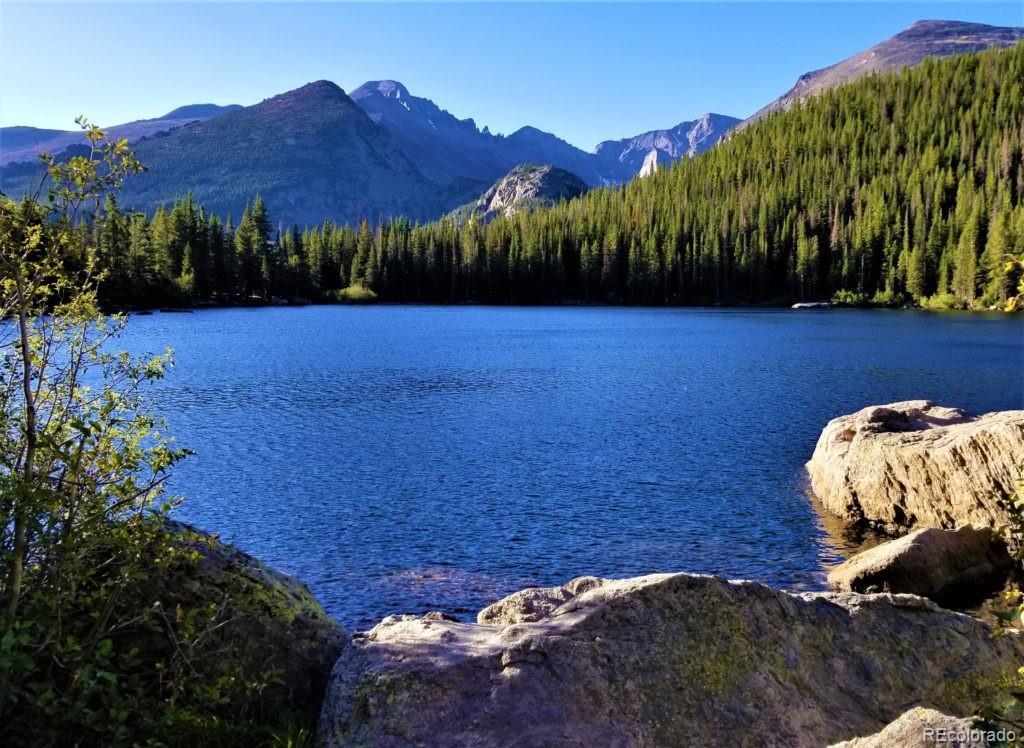 Photo #37