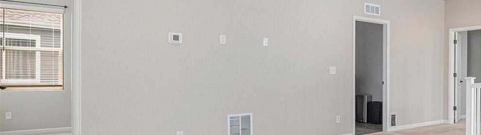 Photo #15