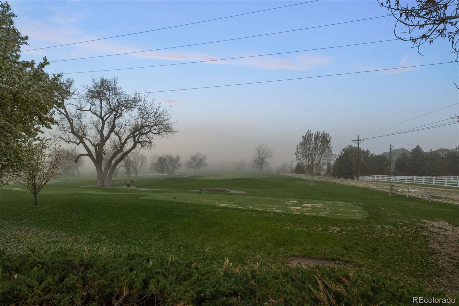 Photo #38