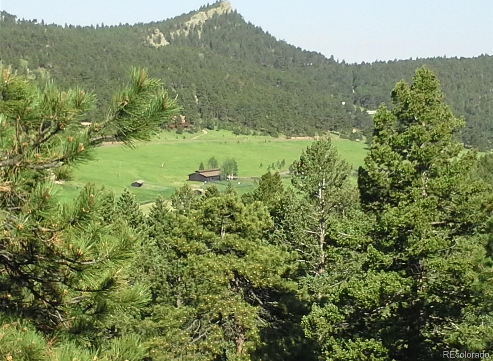Photo #41