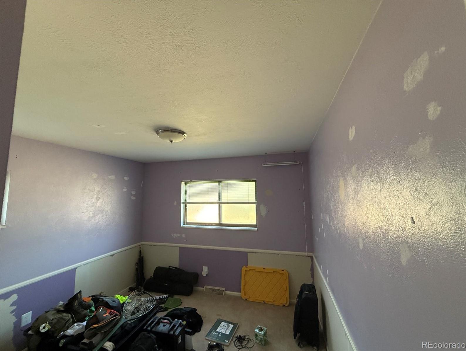 Photo #6