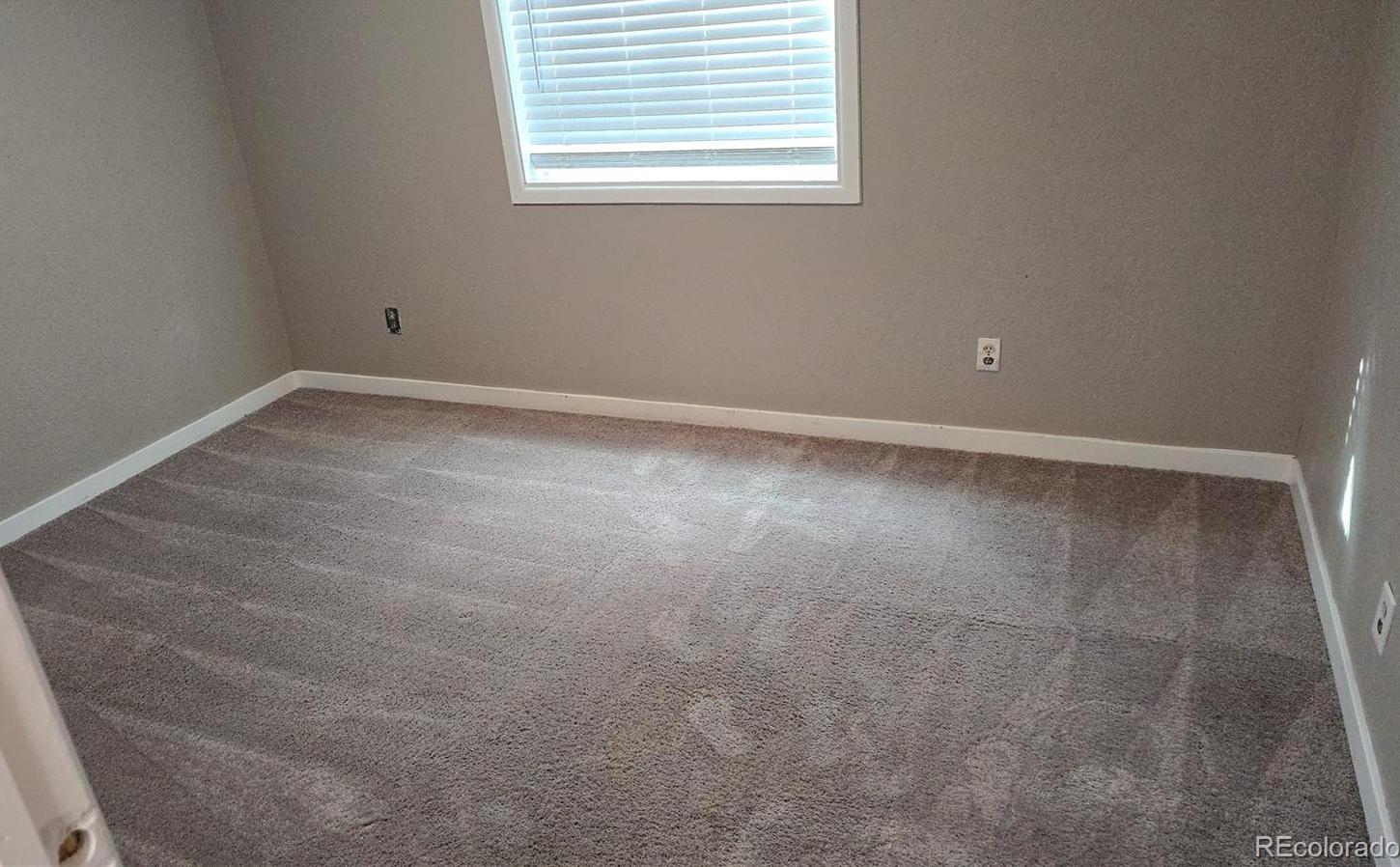 Photo #24