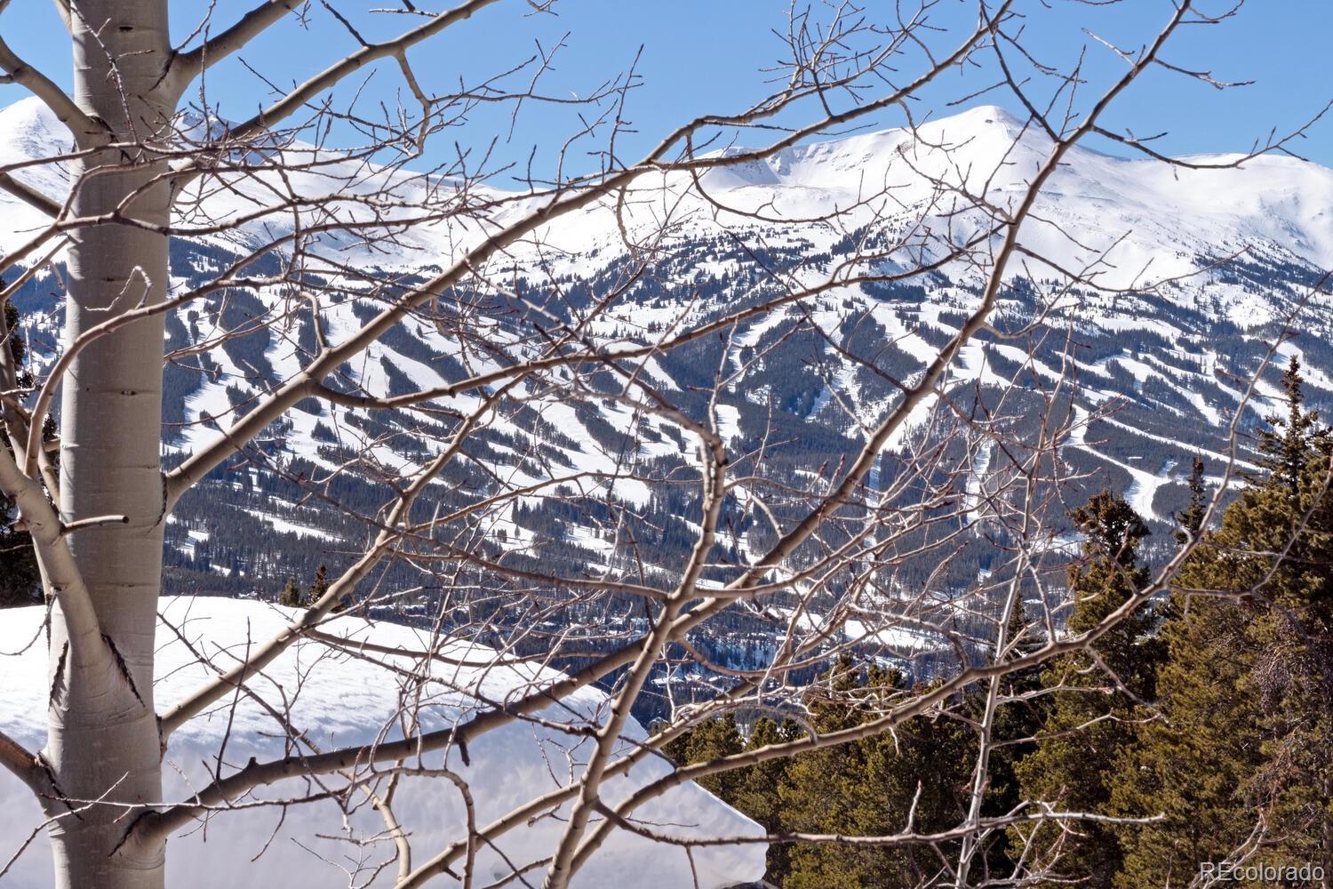 Photo #18