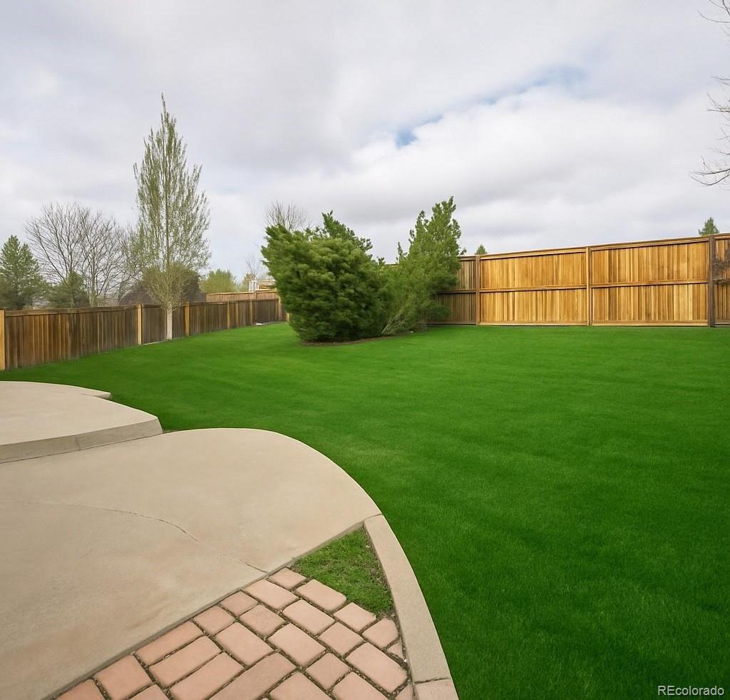 Photo #32