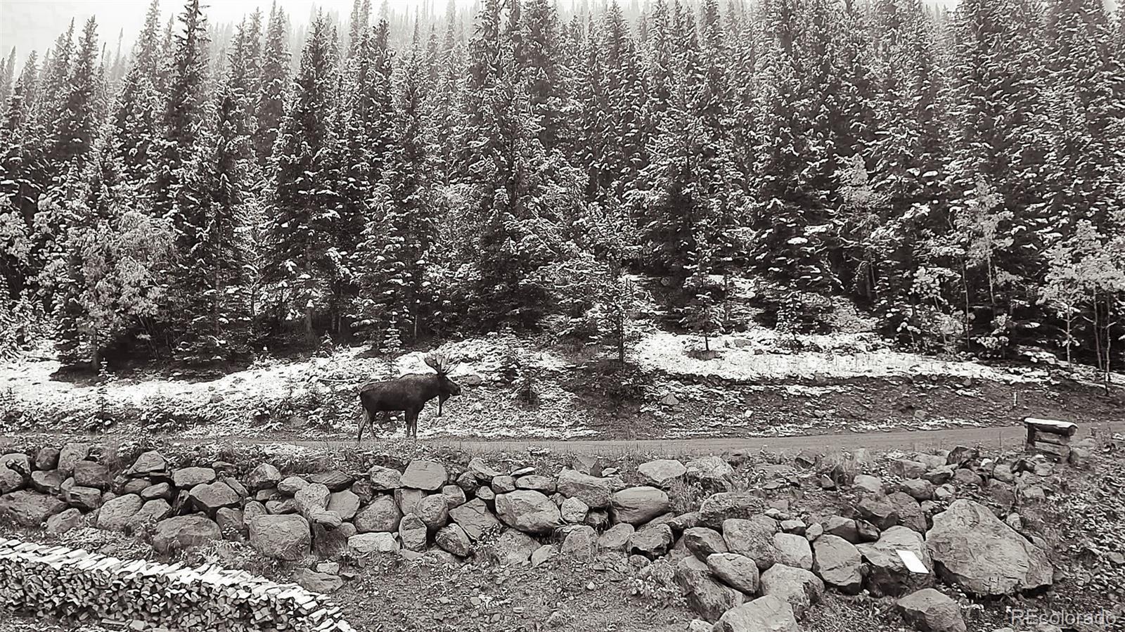 Photo #27