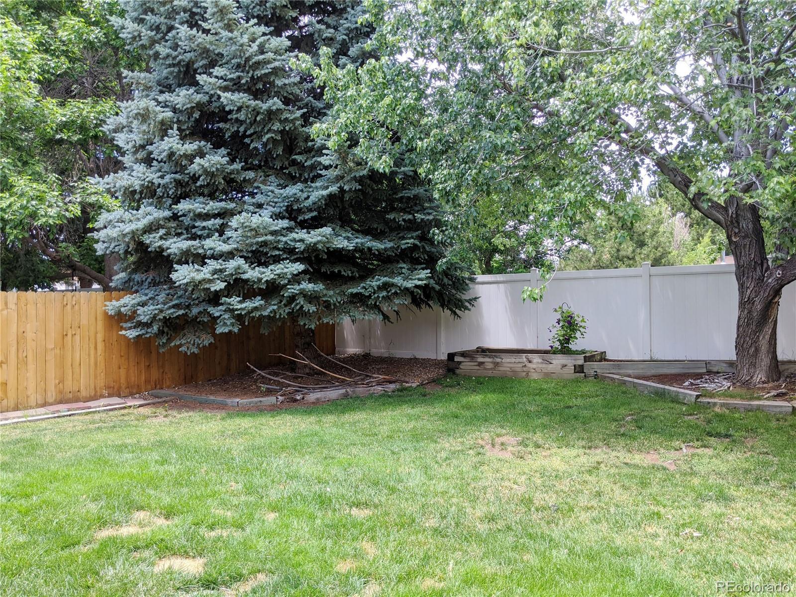 Photo #28