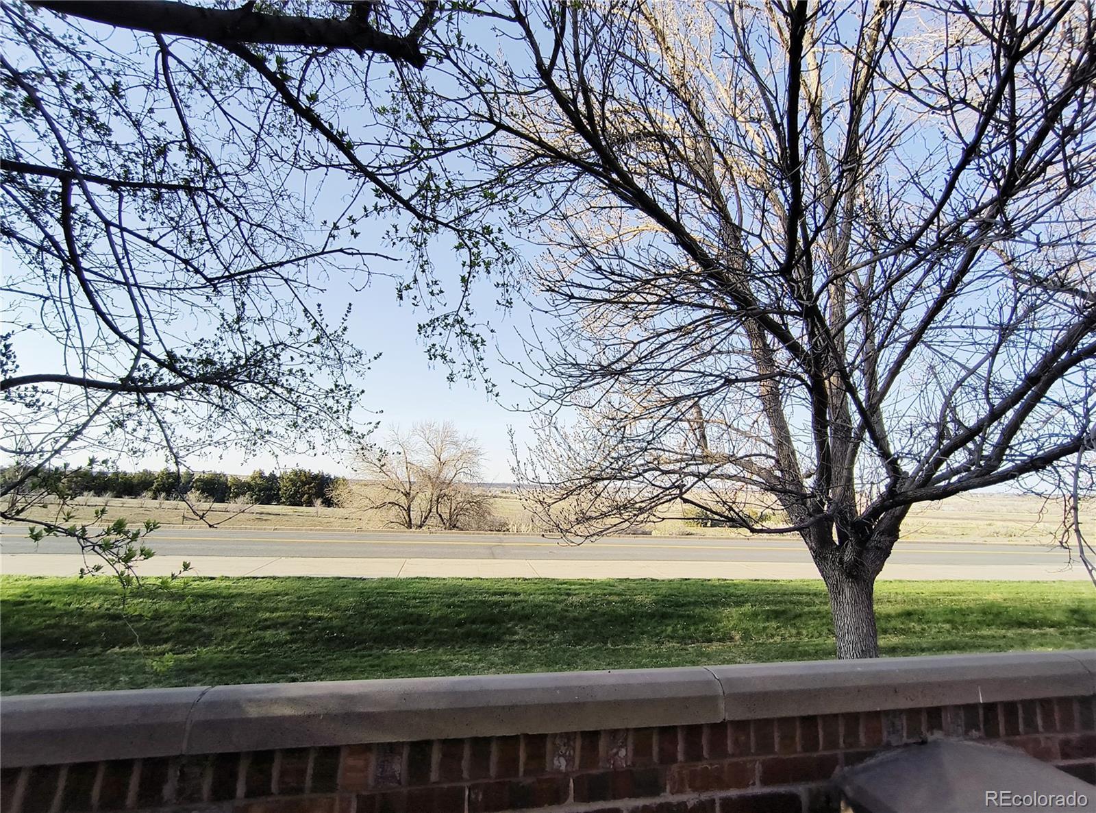 Photo #32