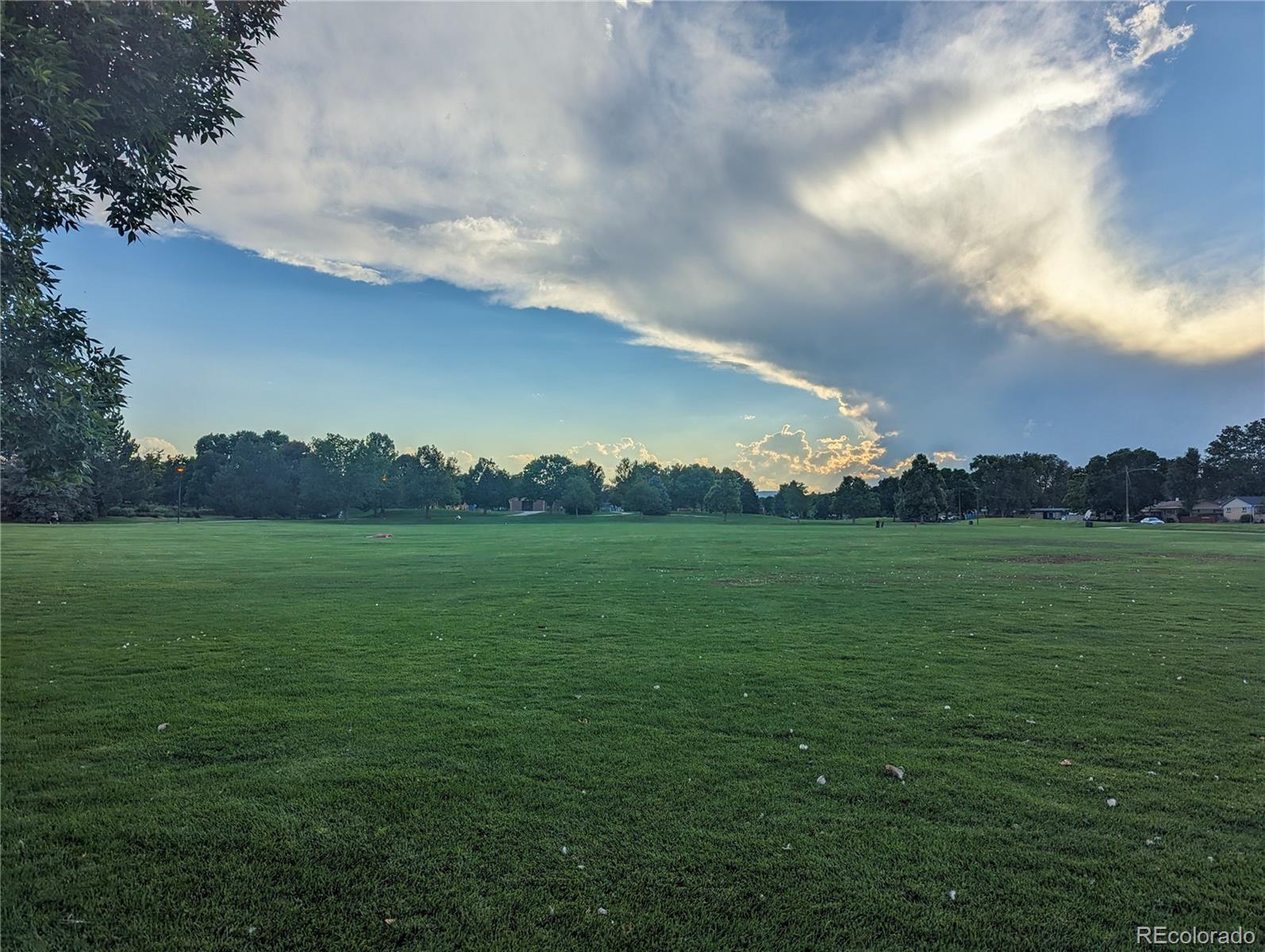 Photo #42
