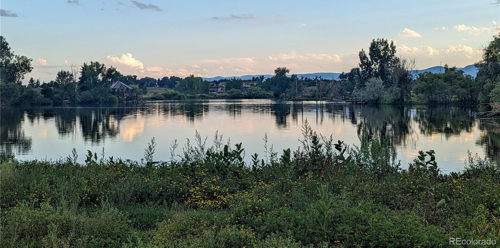 Photo #43