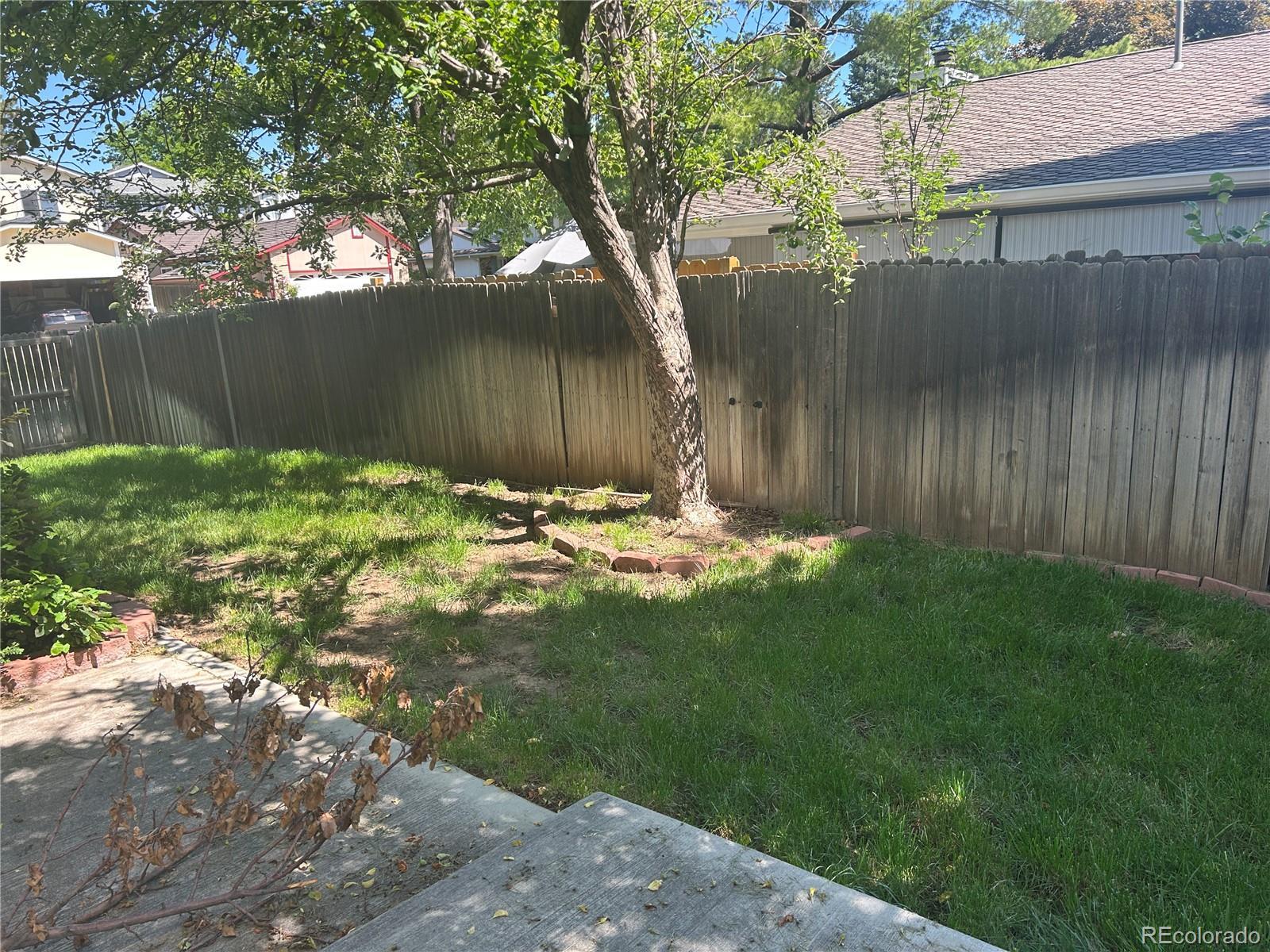 Photo #29