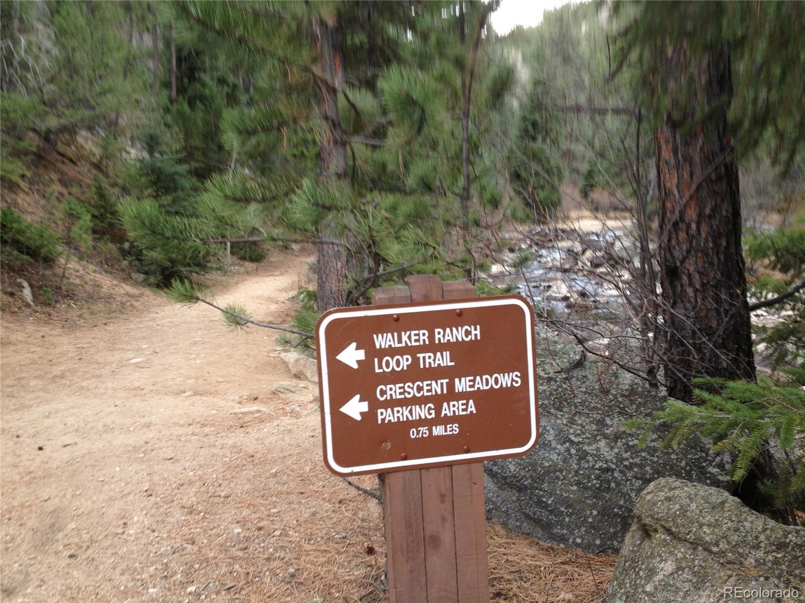 Photo #29