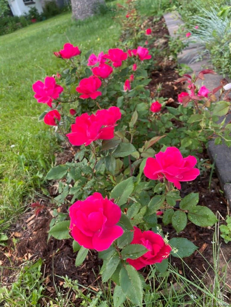 Photo #45