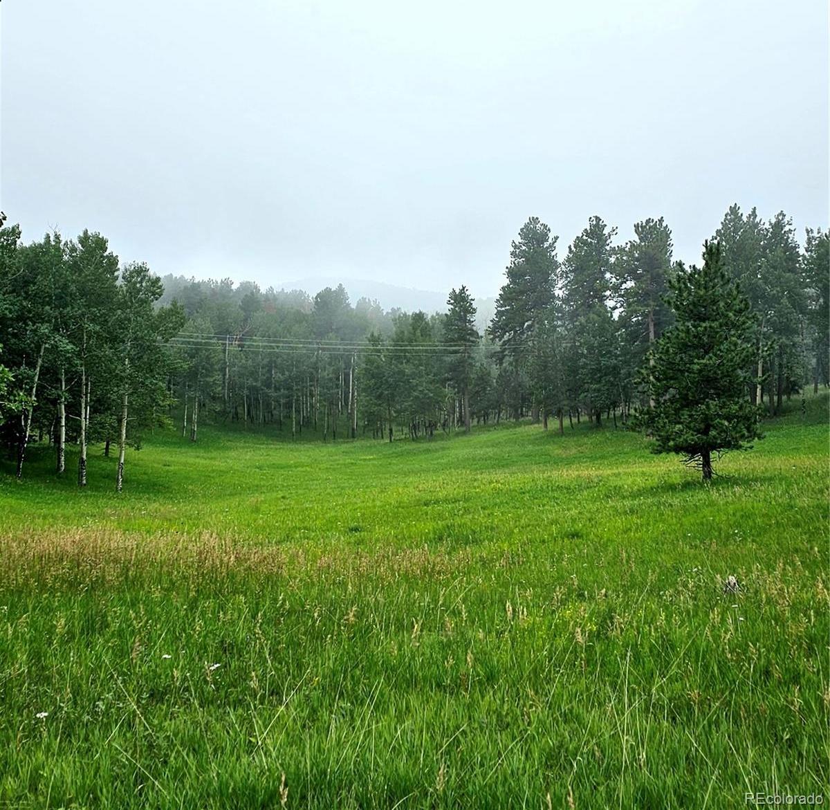 Photo #27