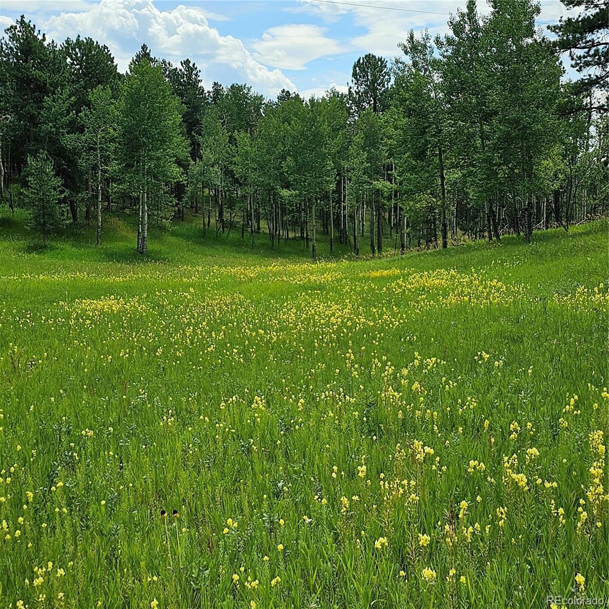 Photo #7